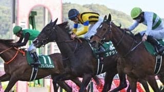 今年の福島牝馬S覇者ステラリアが登録抹消 今後は繁殖牝馬に