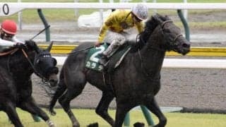 新潟大賞典Vカラテ、ダービー卿CT覇者インダストリアなど 鳴尾記念想定17頭