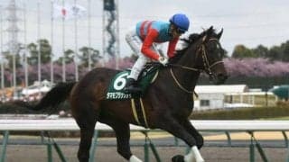 【葵S予想】重賞勝ち馬に黄色信号!? 人気馬に立ちはだかる高い壁とは？
