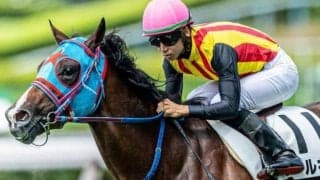 京都芝は高速決着 内枠味方にトールキンが一角崩し