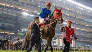 2023アイリッシュチャンピオンステークス（G1）に日本馬が予備登録