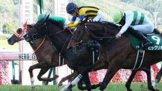 ステラリアが競走馬登録抹消