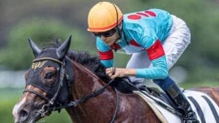 1強ムードの葵Sに待ったをかける 大本命馬に完勝したペースセッティングは侮れない