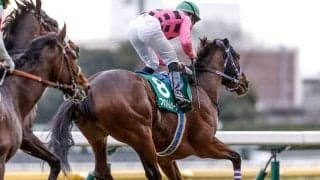 「テン乗り」「青葉賞組」は時代遅れ!? 日本ダービーを取り巻く「ジンクス」を検証