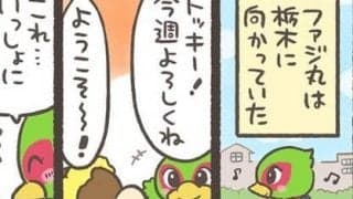 【Ｊりーぐ ぷれびゅーしょー】　第29回
