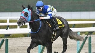 【今日の注目ポイント】京都で3歳スプリント重賞の葵S