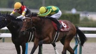 異様な熱気に包まれる日本ダービーでは、冷静な騎乗で愛馬をエスコートできるジョッキーに着目せよ