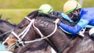 【土曜京都4R予想】歴史的名馬×重賞馬の超良血 距離短縮で巻き返す