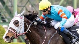 前々走は最低人気で激走！ ヤマニンプレシオサが得意の1400mで再び高配提供だ