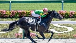 最低人気262.8倍のアウリガテソーロが勝利 3連単も380万円超の大波乱！/東京9R・富嶽賞