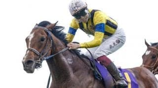 【日本ダービー予想】穴はノーザンファーム生産馬？ 上位人気優勢も上昇する波乱度