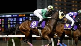 【佐賀競馬】ダービーは佐賀でも！ 混戦模様の九州ダービーを制すのはどの馬か