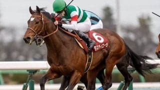 【AI予想・日本ダービー】二冠ならず!? 人工知能がソールオリエンス以上の評価を与えた「◎」とは