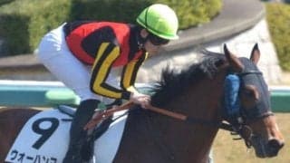 【日曜東京2R予想】ベストウォーリア半弟ウォーハンマー 絞れれば前進必至だ