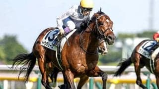 1枠1番が強い？最高配当は285万円！ 日本ダービー30回分のデータを分析