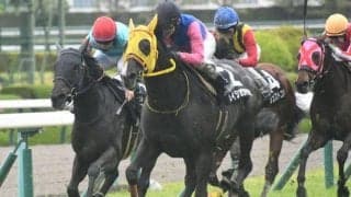 【渡月橋S予想】前走は外枠の不利大 メイショウドウドウの末脚に注目