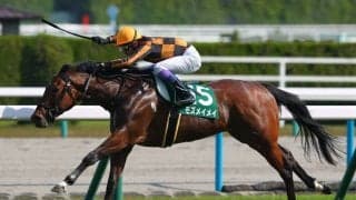 【葵S】武豊 モズメイメイがロケットスタートを決めて逃げ切る