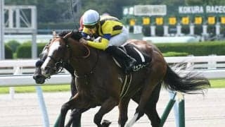 【目黒記念予想】1番人気とトップハンデ馬苦戦の名物重賞