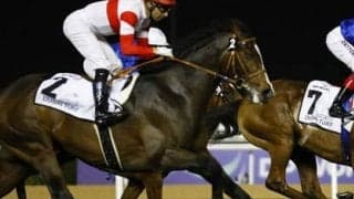 ２歳戦開幕週で「注目の１頭」古馬相手に圧巻の動きを披露したボンドガールに関係者が熱視線