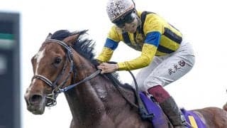 【日本ダービー予想】上位人気好成績も馬券の工夫は必要？ 好走枠・ローテ・血統の必須ポイント解明