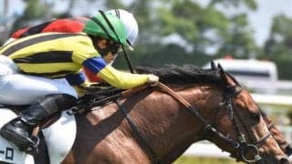 【目黒記念予想】前走は負けて強し 重賞初挑戦で初制覇あるぞ