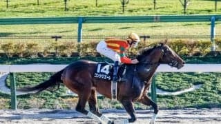 【浦和・さきたま杯枠順確定】コンシリエーレは5枠5番、シャマルは1枠1番