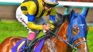 【日本ダービー・馬体重】ソールオリエンスは460kg(-2)、スキルヴィングは520kg(-4)