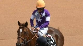 【JRA・WIN5】本日のWIN5は的中838票、配当58万7470円