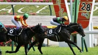 【青嵐賞】ドリームインパクトが早め先頭から押し切る…勝ちタイムは2分25秒6