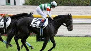 【日本ダービー】スキルヴィングはゴール入線後すぐに倒れる…ドゥラエレーデは落馬