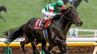 【日本ダービー】スキルヴィングが急性心不全で死亡 2番人気も18頭中17着で入線