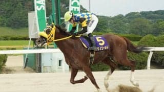 【佐賀・九州ダービー栄城賞】テクノゴールドが重賞初制覇…和田譲「馬のリズムを大切にした」