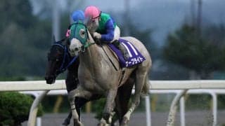 【水沢・イーハトーブマイル】ケープライトが重賞2勝目…山本聡「今日の馬場は内枠が有利」