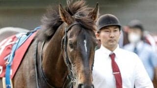 ドゥラエレーデ落馬、スキルヴィングが入線後死亡など 28日の出来事一覧/東京・京都