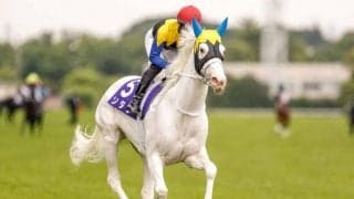 上半期のマイル王決定戦・安田記念/今週の競馬界の見どころ