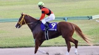 【安田記念登録馬】ジャックドールなど21頭