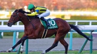 【鳴尾記念登録馬】ソーヴァリアントなど16頭