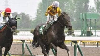 【鳴尾記念見どころ】カラテの重賞連勝なるか