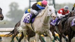 【安田記念見どころ】ソダシら豪華メンバーの競演 マイル王に輝くのはどの馬か