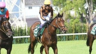 【葵S】売上は40億16万1000円で昨年より約9億円増加