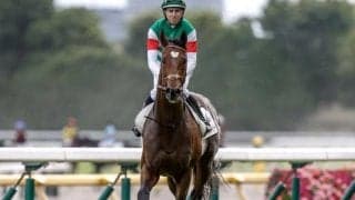 【日本ダービー】売上は283億8674万5400円で昨年より約8億円減少