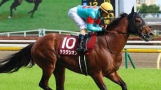 【先週のJRA抹消馬】20年NHKマイルC覇者ラウダシオン、今年の福島牝馬Sで重賞初制覇のステラリアなどが抹消