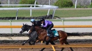 おじにシルヴァーソニックがいるテラメリタ/関西馬メイクデビュー情報