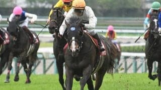 【AI予想・安田記念】7番人気以下の穴馬台頭にも注意！ 混戦模様の一戦で人工知能が推奨する本命候補「3頭」