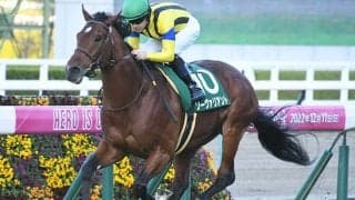 【鳴尾記念想定騎手】ソーヴァリアントはC.ルメール騎手、フェーングロッテンは松若風馬騎手