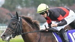 ダービー制したD.レーン騎手と再びGI制覇へ マイル重賞4勝馬が安田記念に参戦