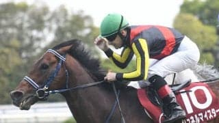 安田記念2年連続馬券内の強豪マイラーが参戦 前走上がり3F32.9秒で重賞勝ち