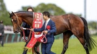 パルティトゥーラ起点にファミリーの枝葉を大きく伸ばすか 繁殖牝馬として大成功の可能性