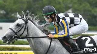 芦毛のキタサン産駒 可能性見せたマイルでGI初制覇なるか