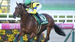 【鳴尾記念展望】宝塚記念の前哨戦、前走GIとGII組が中心